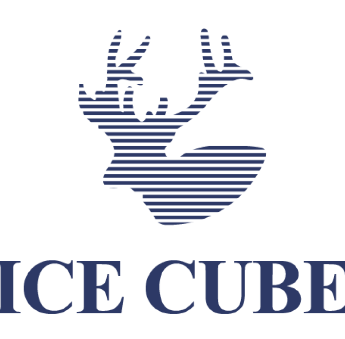 E-Commerce Launch Icecube